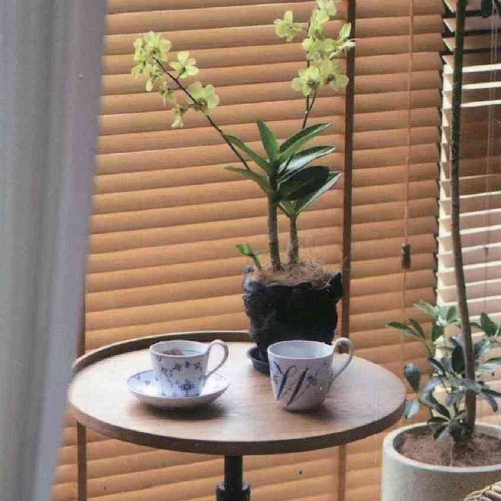 木百葉多種木種色系樣本展示